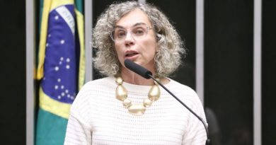 Câmara aprova mobilização nacional de 21 dias pelo fim da violência e do racismo contra mulheres