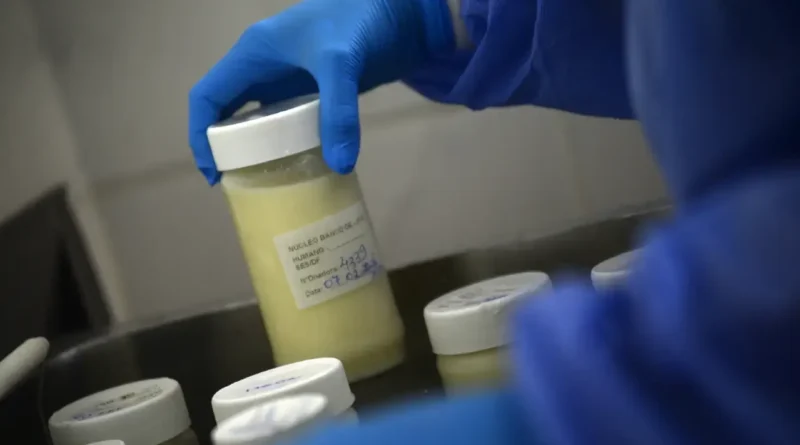 Mais de 4 mil recém-nascidos receberam leite humano no DF entre janeiro e março