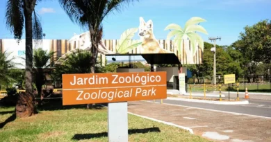 Zoológico de Brasília terá programação especial de 18 a 21 de abril e dias com entrada gratuita