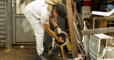 Dengue e chikungunya: como diferenciar sintomas e quando buscar atendimento no DF