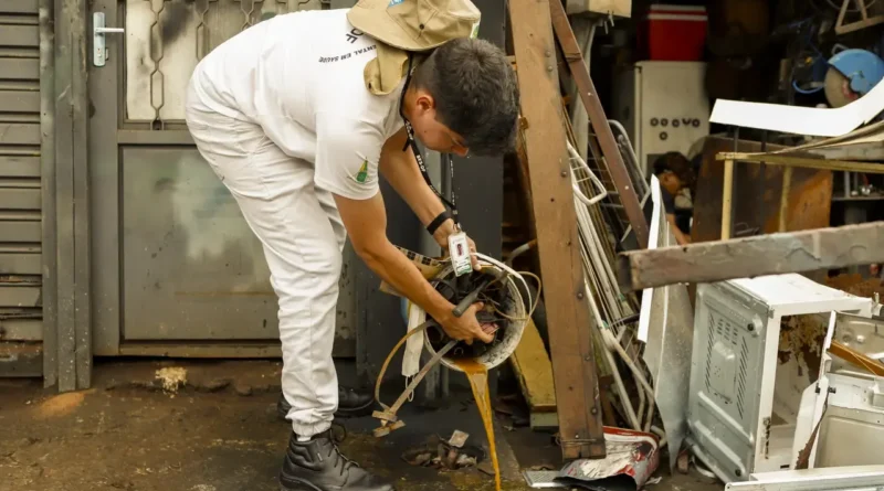 Dengue e chikungunya: como diferenciar sintomas e quando buscar atendimento no DF