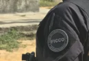 FICCO/PR apreende 14,8 quilos de maconha em empresa de Foz do Iguaçu