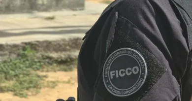14,8 quilos de maconha em Foz do Iguaçu: FICCO/PR apreende remessa irregular FICCO/PR apreende 14,8 quilos de maconha em empresa de Foz do Iguaçu