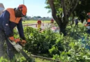 GDF na Sua Porta leva quase R$ 16 milhões em obras ao Paranoá; feira e ponte estão em execução