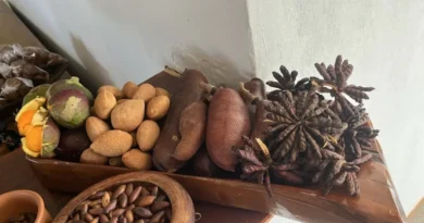 IPEDF lança projeto que aponta caminhos para restauração produtiva do Cerrado no DF