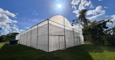 Jardim Botânico de Brasília inaugura trilha, estufas e moderniza biblioteca e herbário