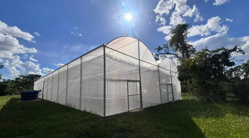 Jardim Botânico de Brasília inaugura trilha, estufas e moderniza biblioteca e herbário