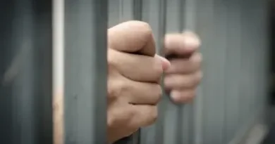Homem é preso por confinar animais na Asa Sul PCDF prende homem e resgata dois gatos e seis galinhas mantidos em gaiolas na Asa Sul