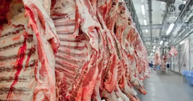 China pode aplicar sobretaxa se cota de 1,1 milhão de toneladas para carne bovina do Brasil for esgotada