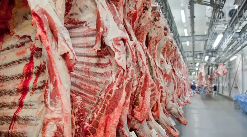 China pode aplicar sobretaxa se cota de 1,1 milhão de toneladas para carne bovina do Brasil for esgotada