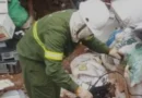 Furto de cabos dispara no DF e soma 739 ocorrências em seis meses, diz Neoenergia