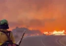 Quase 260 mil evacuados por incêndios na França e na Espanha