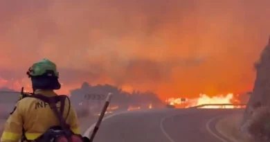 Quase 260 mil evacuados por incêndios na França e na Espanha