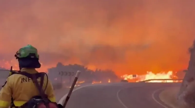 Quase 260 mil evacuados por incêndios na França e na Espanha