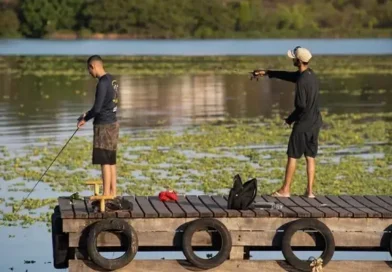 Governo sanciona lei que reconhece pesca esportiva como modalidade no DF