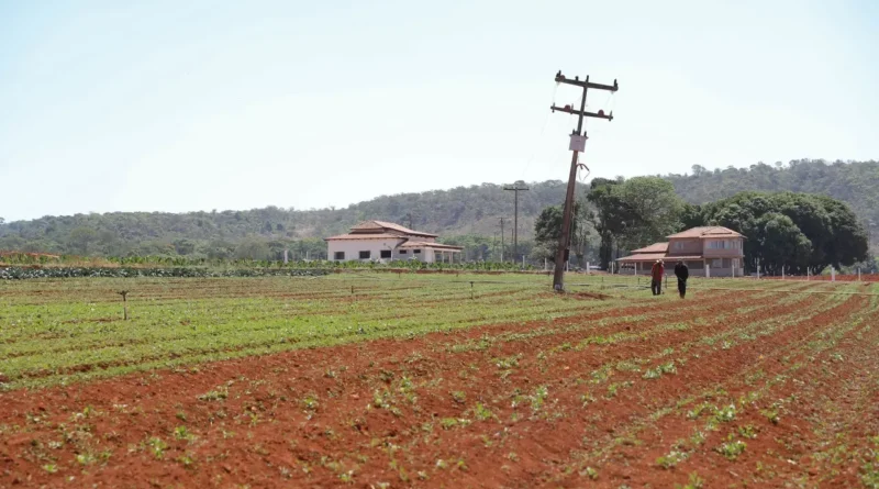 Como solicitar a regularização fundiária no DF: guia para ocupantes da macrozona rural