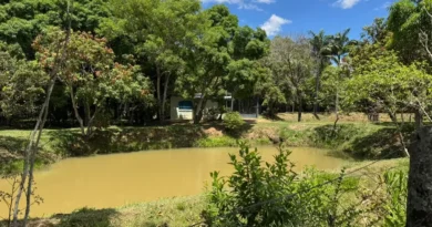 Consulta pública abre proposta de criação da RPPN Estância Pinheiros, de 2,75 ha, no Jardim Botânico