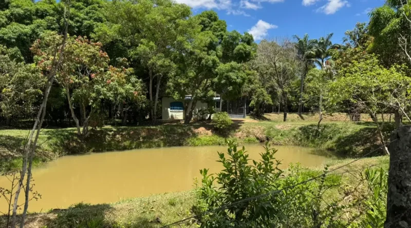 Consulta pública abre proposta de criação da RPPN Estância Pinheiros, de 2,75 ha, no Jardim Botânico