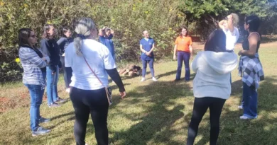Formação na Escola da Natureza para educação infantil no DF: curso concluído pela SEE-DF SEE-DF conclui formação na Escola da Natureza voltada a profissionais da educação infantil