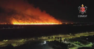 Bombeiros combatem 'paredão de fogo' no Parque do Tororó, no DF