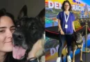 Canil do Senado é fechado após morte de veterinária; PF assume o caso