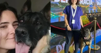 Canil do Senado é fechado após morte de veterinária; PF assume o caso