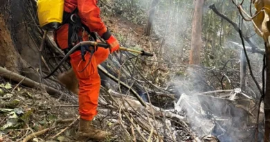 Colombianas que morreram na queda de helicóptero eram avó, mãe e filha As vítimas faziam. Colombianas que morreram na queda de helicóptero eram avó, mãe e filha As vítimas faziam.