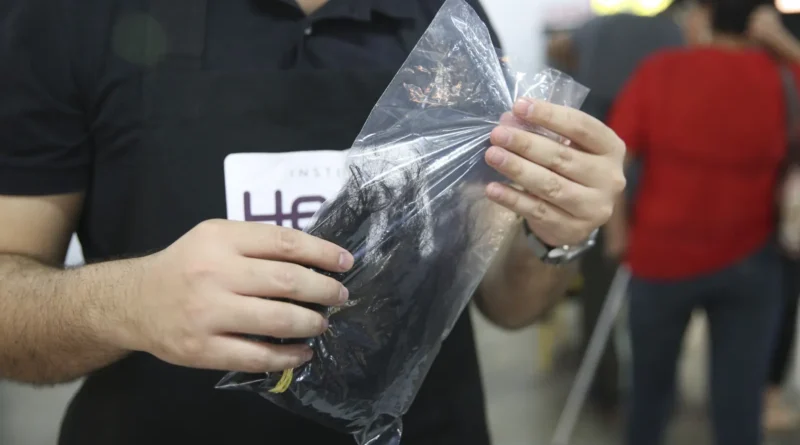DF disponibiliza banco de perucas para pessoas em tratamento contra o câncer