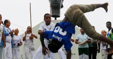 Dia da Capoeira no DF: sessão solene na Câmara Legislativa homenageia capoeiristas do Distrito Federal Dia da Capoeira é lembrado com sessão solene na Câmara Legislativa do DF