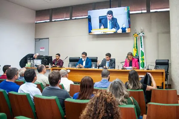 Eleições 2026 Comissões parlamentares - o que são e como funcionam 24/08/2026 08 - 00