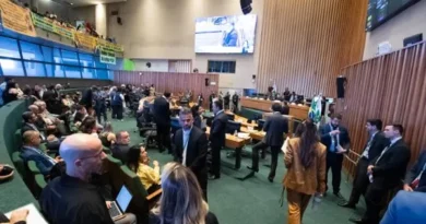 Eleições 2026 O que é uma sessão plenária da Câmara Legislativa? Sessões plenárias são.