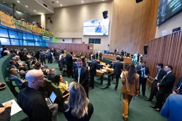 Eleições 2026 O que é uma sessão plenária da Câmara Legislativa? Sessões plenárias são.