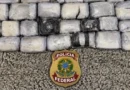 PF prende passageira com drogas no Aeroporto de Cascavel/PR