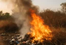 Queima de lixo e vegetação é crime ambiental e eleva risco de incêndio durante o período.