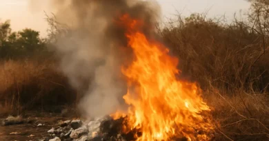 Queima de lixo e vegetação é crime ambiental e eleva risco de incêndio durante o período.
