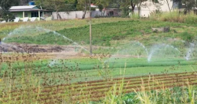 Sessão Solene Sessão solene prestará homenagem ao Dia do Produtor Rural 17/08/2026 14 - 00