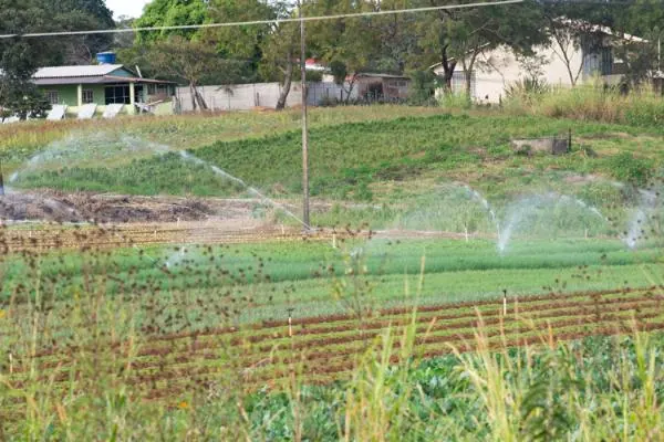 Sessão Solene Sessão solene prestará homenagem ao Dia do Produtor Rural 17/08/2026 14 - 00