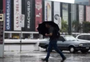 Chuva forte com vento e queda de árvore põe a capital em alerta