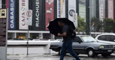 Chuva forte com vento e queda de árvore põe a capital em alerta