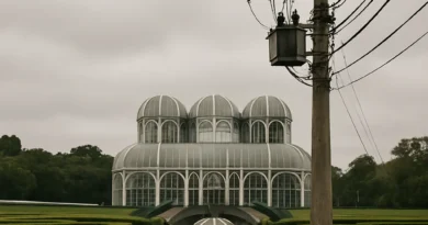 Jardim Botânico terá desligamento temporário de energia elétrica nesta quinta-feira (17)
