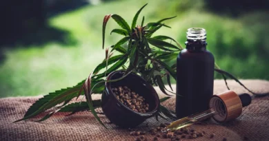 Para associações, normas ainda deixam pontos em aberto sobre cannabis Evento no Ceará.