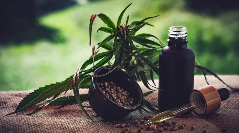 Para associações, normas ainda deixam pontos em aberto sobre cannabis Evento no Ceará.