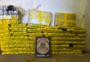 PF apreende 300 kg de maconha em Santa Tereza do Oeste/PR