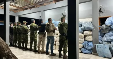 PF apreende mais de três toneladas de drogas em RO PF apreende mais de três toneladas de drogas em RO