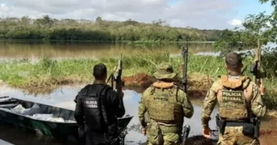 PF e PMPR apreendem 337,5 kg de agrotóxicos e cigarros de origem paraguaia em Guaíra/PR