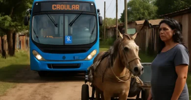 Vila dos Carroceiros, em Santa Maria, terá duas linhas de ônibus a partir deste sábado (12)