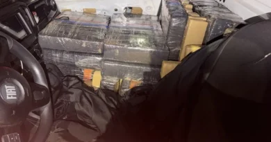 PF apreende 377 kg de maconha em Guarapuava/PR