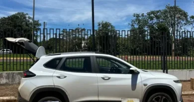 PF e BPFRON apreendem anabolizantes e outros produtos farmacológicos no Paraná